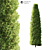 Natural Green Landscape Tree 3D model small image 1