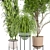 Ferm Living Bau Pot Large - Indoor Plants Set 3D model small image 2