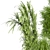 Ferm Living Bau Pot Large - Indoor Plants Set 3D model small image 4