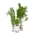 Ferm Living Bau Pot Large - Indoor Plants Set 3D model small image 5