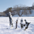 Snowy Tree Stump Trio: 55cm, 65cm, 85cm 3D model small image 2