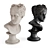 Elegant Venus Marble Bust 3D model small image 1