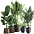 Tropical Plant Collection in Reclaimed Metal Pots 3D model small image 1