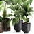 Tropical Plant Collection in Rustic Metal Pots 3D model small image 5