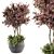 Purple Flower Tree: Outdoor Elegance 3D model small image 1