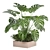 Bau Pot Large Indoor Plants Set 3D model small image 4
