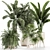 Tropical Plant Collection: Exotics for Indoor and Outdoor 3D model small image 1