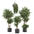 Modern Indoor Plants Set - Ferm Living Bau Pot 3D model small image 1