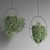 Indoor Plant Collection 17 3D model small image 4