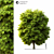 Majestic Landscape Tree 3D model small image 1