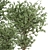 Ferm Living Bau Pot Large - Set 165: Stylish Indoor Plants 3D model small image 5