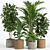 Tropical Rattan Plant Set 3D model small image 1