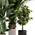 Ferm Living Bau Pot Large - Set of Indoor Plants 3D model small image 3