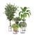 Indoor Greenery Set | Ferm Living Bau Pot Large 3D model small image 5