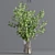 Collaction Plants Bouquet 09: 3D Floral Arrangement in Vray, Corona and Obj Formats 3D model small image 5