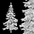 West Himalayan Fir Tree - 2 Models 3D model small image 4