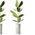 Botanical Bliss: Indoor Plant for Any Room 3D model small image 1