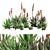 Crosbys Prolific Aloes: Versatile, High-Quality 2013 3D Model 3D model small image 1