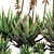 Crosbys Prolific Aloes: Versatile, High-Quality 2013 3D Model 3D model small image 6