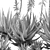 Crosbys Prolific Aloes: Versatile, High-Quality 2013 3D Model 3D model small image 7