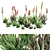 Crosbys Prolific Aloes: Versatile, High-Quality 2013 3D Model 3D model small image 8