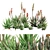 Crosbys Prolific Aloes: Versatile, High-Quality 2013 3D Model 3D model small image 9