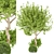 2015 Outdoor Plant Vol 29 - High-Poly 3D Model 3D model small image 1