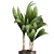Tropical Loft Plant Collection 3D model small image 2