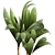 Tropical Loft Plant Collection 3D model small image 4