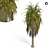 Tropical Palm Tree 3D Model 3D model small image 2