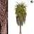 Tropical Palm Tree 3D Model 3D model small image 3