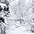 Winter Twigs Panorama. High-Res Image. 3D model small image 3