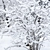 Winter Twigs Panorama. High-Res Image. 3D model small image 4