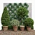 Natural Greenery Set: Boxwood, Dogwood, Ivy 3D model small image 1