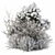 Snowy Dried Plant Bush - Set of 60 3D model small image 1