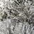 Snowy Dried Plant Bush - Set of 60 3D model small image 3