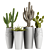Desert Vibes: 3 Cactus & Tropical Plants 3D model small image 1