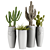 Desert Vibes: 3 Cactus & Tropical Plants 3D model small image 2