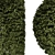 Lush Greenery Bush for 3D Rendering 3D model small image 2