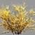 Vibrant Yellow Bush 01 3D model small image 3