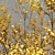 Vibrant Yellow Bush 01 3D model small image 4