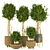 Modern Indoor Plant Vol. 28 3D model small image 1