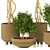 Modern Indoor Plant Vol. 28 3D model small image 2