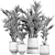 Exotic Plant Collection: Indoor & Outdoor Decor 3D model small image 7