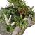 Premium Garden Plant Set 3D model small image 3