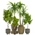 3D Indoor Plant Vol 29: Realistic Greenery 3D model small image 1