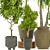 3D Indoor Plant Vol 29: Realistic Greenery 3D model small image 2