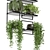 Rustic Indoor Plant Set 173 3D model small image 4