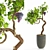 Modern Grapevine Sculpture: 2015 Edition 3D model small image 1