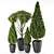 Outdoor Plant Vol 30: High-quality 3D Model 3D model small image 1